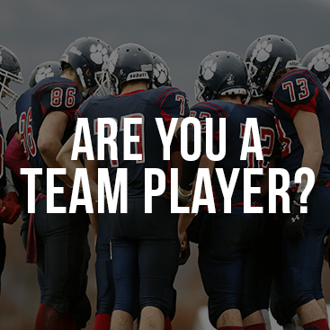Are You a Team Player or a Lone Wolf
