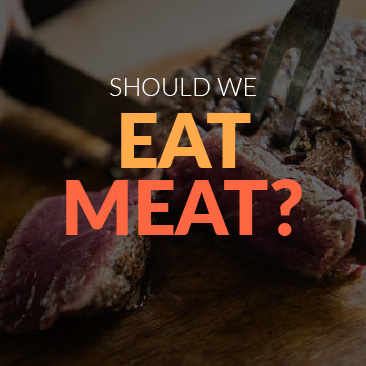 Should We Eat Meat
