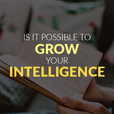 Is it Possible to ‘Grow Your Intelligence’